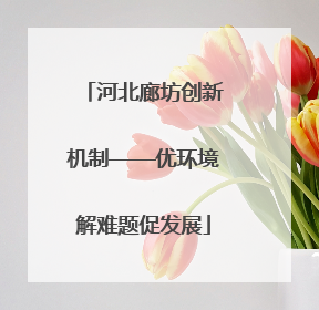 河北廊坊创新机制——优环境解难题促发展