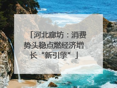 河北廊坊：消费势头稳点燃经济增长“新引擎”