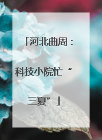 河北曲周：科技小院忙“三夏”