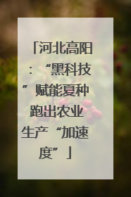 河北高阳：“黑科技”赋能夏种 跑出农业生产“加速度”