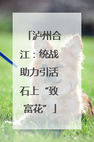 泸州合江：统战助力引活石上“致富花”
