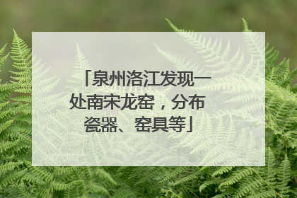 泉州洛江发现一处南宋龙窑，分布瓷器、窑具等