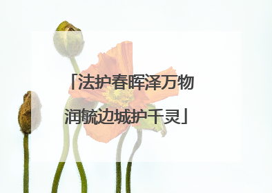 法护春晖泽万物 润毓边城护千灵