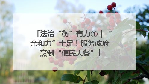 法治“衡”有力①｜“亲和力”十足！服务政府烹制“便民大餐”