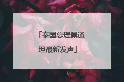 泰国总理佩通坦最新发声