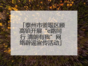 泰州市姜堰区顾高镇开展“e路同行 清朗有我”网络辟谣宣传活动