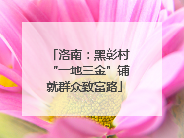 洛南：黑彰村“一地三金”铺就群众致富路