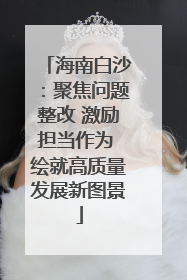 海南白沙：聚焦问题整改 激励担当作为 绘就高质量发展新图景
