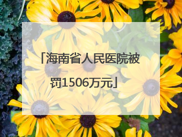 海南省人民医院被罚1506万元