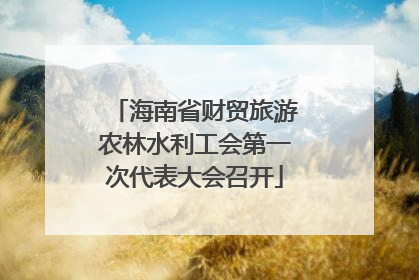 海南省财贸旅游农林水利工会第一次代表大会召开