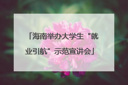 海南举办大学生“就业引航”示范宣讲会