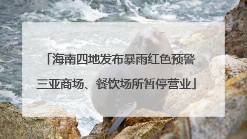 海南四地发布暴雨红色预警 三亚商场、餐饮场所暂停营业