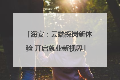 海安：云端探岗新体验 开启就业新视界