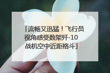 流畅又迅猛！飞行员视角感受数架歼-10战机空中近距格斗