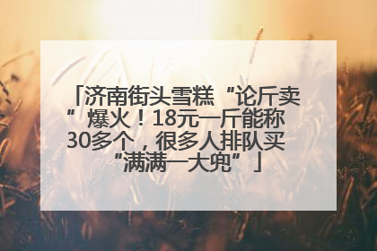 济南街头雪糕“论斤卖”爆火！18元一斤能称30多个，很多人排队买“满满一大兜”