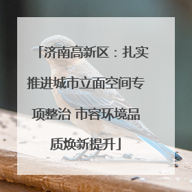 济南高新区：扎实推进城市立面空间专项整治 市容环境品质焕新提升