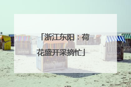 浙江东阳：荷花盛开采摘忙