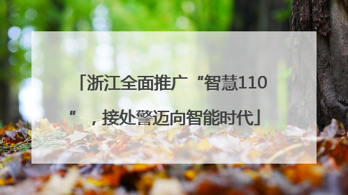 浙江全面推广“智慧110”，接处警迈向智能时代
