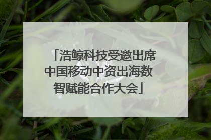 浩鲸科技受邀出席中国移动中资出海数智赋能合作大会