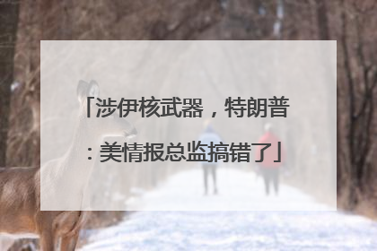 涉伊核武器，特朗普：美情报总监搞错了