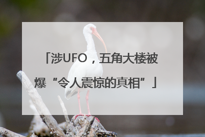 涉UFO，五角大楼被爆“令人震惊的真相”