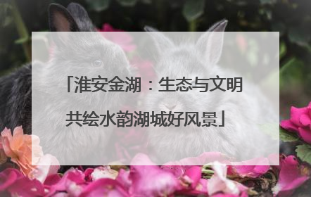 淮安金湖：生态与文明共绘水韵湖城好风景