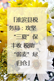 淮滨县税务局：攻坚“三夏”保丰收 税助“弱麦”尽归仓