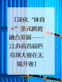 深化“体育+”多元跨界融合发展——江苏省首届匹克球大赛在无锡开赛
