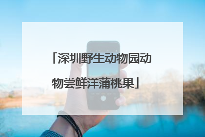 深圳野生动物园动物尝鲜洋蒲桃果