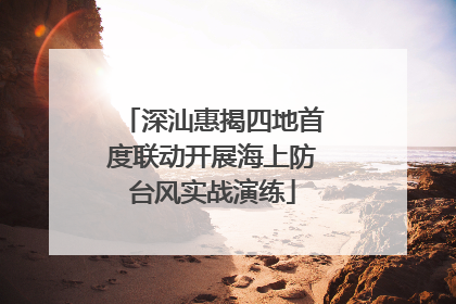 深汕惠揭四地首度联动开展海上防台风实战演练