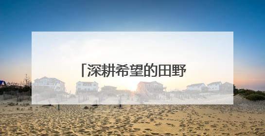 深耕希望的田野——“综合试验田”里庆丰收