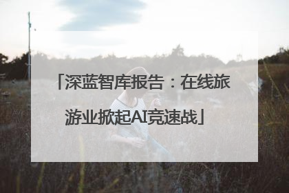 深蓝智库报告：在线旅游业掀起AI竞速战