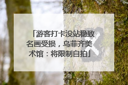游客打卡没站稳致名画受损，乌菲齐美术馆：将限制自拍