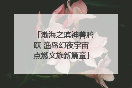 渤海之滨神兽腾跃 渔岛幻夜宇宙点燃文旅新篇章