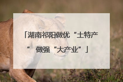 湖南祁阳做优“土特产” 做强“大产业”