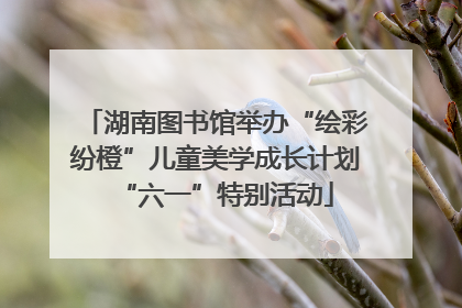 湖南图书馆举办“绘彩纷橙”儿童美学成长计划“六一”特别活动