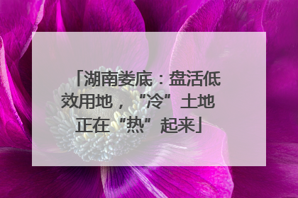 湖南娄底：盘活低效用地，“冷”土地正在“热”起来