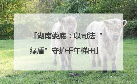 湖南娄底：以司法“绿盾”守护千年梯田