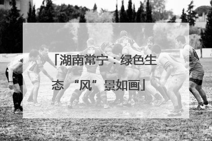 湖南常宁：绿色生态 “风”景如画