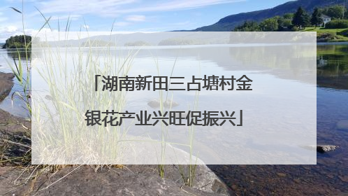 湖南新田三占塘村金银花产业兴旺促振兴