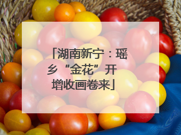 湖南新宁：瑶乡“金花”开 增收画卷来