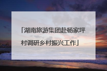 湖南旅游集团赴杨家坪村调研乡村振兴工作