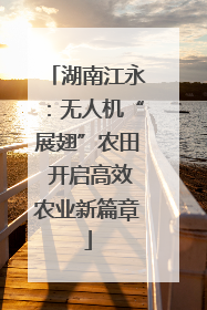 湖南江永：无人机“展翅”农田 开启高效农业新篇章