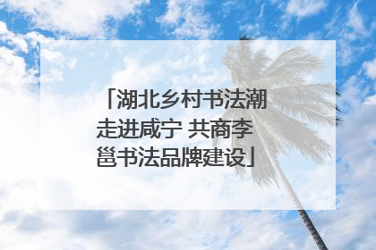 湖北乡村书法潮走进咸宁 共商李邕书法品牌建设