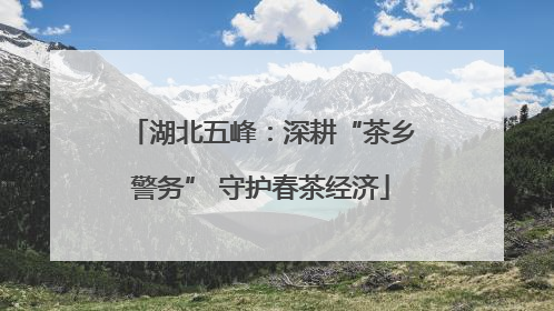 湖北五峰：深耕“茶乡警务” 守护春茶经济