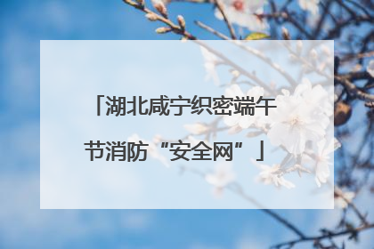湖北咸宁织密端午节消防“安全网”