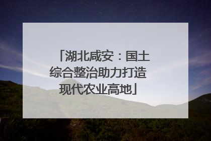 湖北咸安：国土综合整治助力打造现代农业高地