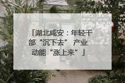 湖北咸安：年轻干部“沉下去” 产业动能“涨上来”
