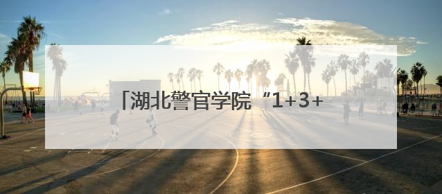 湖北警官学院“1+3+N”实战育警硕果盈枝