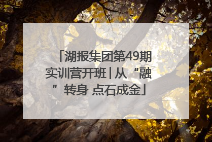 湖报集团第49期实训营开班│从“融”转身 点石成金